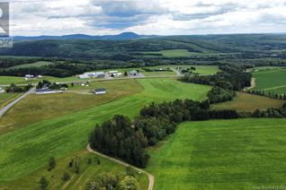 Commercial Farm for Sale, 0 375 Route, Grand-Sault/Grand Falls, NB