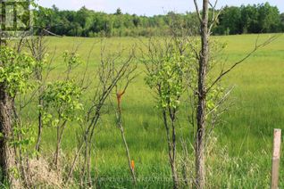 Commercial Land for Sale, 1521 Kilworthy Road #LOT 2, Gravenhurst, ON