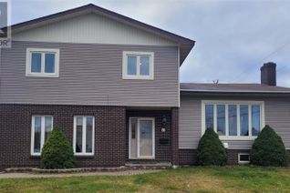 Detached House for Sale, 41 Southcott Drive, Grand Falls-Windsor, NL