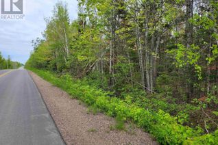 Commercial Land for Sale, Lot 2 Tattrie Settlement Road, French River, NS