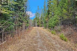 Commercial Land for Sale, 2234 Blackwater Road, Quesnel, BC