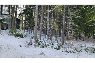 Commercial Land for Sale, 206 Cedar Creek Place, Rossland, BC