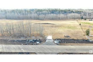 Land for Sale, 113 57303 Rge Rd 233, Rural Sturgeon County, AB