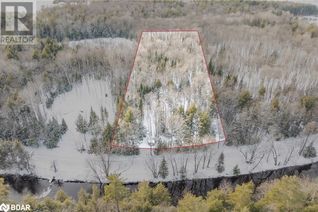 Commercial Land for Sale, 7950 Kings River Road, Ramara, ON