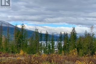 Commercial Land for Sale, Lot A 23 Highway, Nakusp, BC