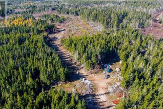 Property for Sale, Lot #2 Highway 106, Frosty Hollow, NB