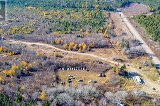 Property for Sale, Lot #1 Highway 106, Frosty Hollow, NB