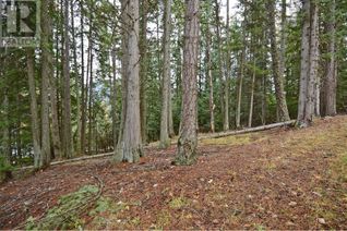 Commercial Land for Sale, Lot 1 Bedford Road, Nelson, BC