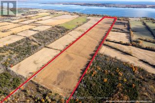 Commercial Farm for Sale, 408 Concession 1 Road, Greater Napanee, ON