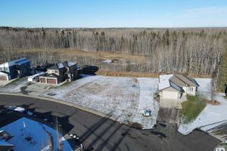 Property for Sale, 524 49119 Range Road 73, Rural Brazeau County, AB