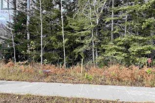 Commercial Land for Sale, 837 Hodder Ave, Thunder Bay, ON