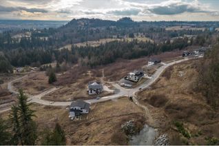 Land for Sale, 9126 Hatzic Ridge Drive, Mission, BC