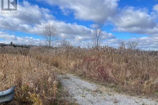 Land for Sale, 21514 Town Line Miles Road, East Gwillimbury, ON