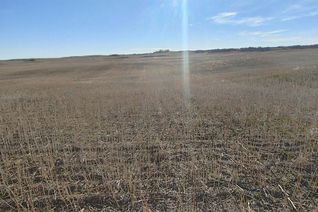 Commercial Farm for Sale, R&C Land, Aberdeen Rm No. 373, SK