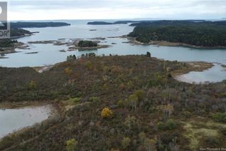 Land for Sale, Lot Sam Hatt Road, Letang, NB