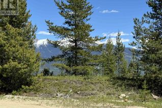 Commercial Land for Sale, 4 Pitney Road #LOT, Valemount, BC