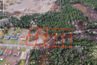 Commercial Land for Sale, 35 Aspen Drive, Northern Arm, NL