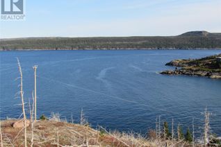 Land for Sale, 210-220 Point Road, Chapel's Cove, NL