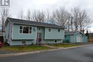 Detached House for Sale, 7 Cowin Place, Clarenville, NL