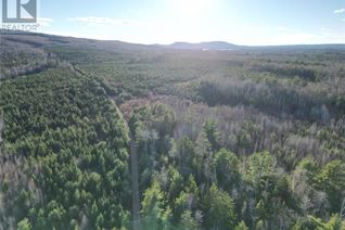 Commercial Land for Sale, 147 Ridge Road, Clarendon, NB