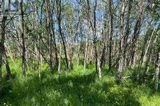 Commercial Land for Sale, 23 Grove, Rural Rocky View County, AB