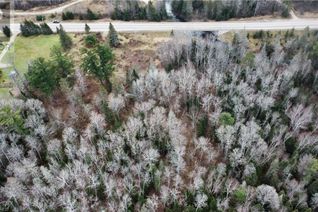 Commercial Land for Sale, 1349 Highway 17 East, Bonfield, ON