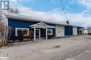 Commercial/Retail Property for Sale, 169 Elizabeth Street, Midland, ON