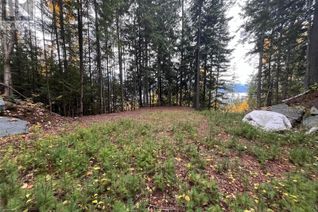 Commercial Land for Sale, 7423 Anglemont Way, Anglemont, BC