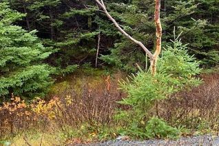 Land for Sale, 94-96 Highway East, Victoria, NL