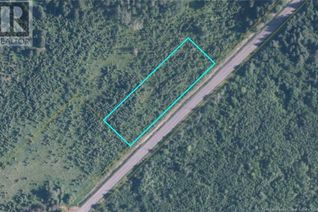 Commercial Land for Sale, Lot Martin Road, Sainte-Anne-De-Madawaska, NB