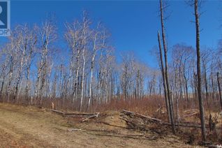 Property for Sale, Keg Lake Block 100 Lot 13, Canwood Rm No. 494, SK