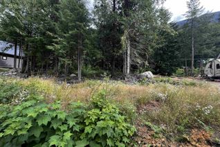 Commercial Land for Sale, Hg136 Old Hope Princeton Highway, Sunshine Valley, BC