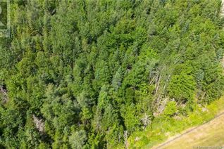 Property for Sale, Lot 1 Ronald Woodworth Road, Tracyville, NB