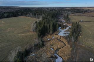 Land for Sale, On Range Road 80, Rural Brazeau County, AB