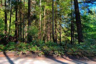 Land for Sale, 1855 Vancouver Blvd, Savary Island, BC