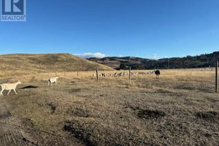 Commercial Farm for Sale, 5605 Highway 3, Bridesville, BC