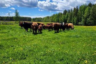 Farm for Sale, 11115 Township Road 532, Rural Yellowhead County, AB