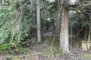 Land for Sale, A Usk #LOT, Terrace, BC