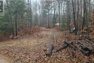 Land for Sale, 11072 Opeongo Road, Madawaska Valley, ON