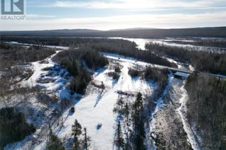 Land for Sale, 0 Trans Canada (Leech Brook) Highway, Grand Falls Windsor, NL