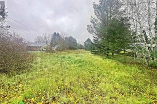 Land for Sale, Lot 98bd Highway 10, Nictaux, NS