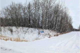 Commercial Land for Sale, 277 50418 Rge Rd 202, Rural Beaver County, AB