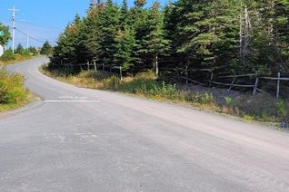 Commercial Land for Sale, 31-37 Branton's Hill, Heart's Delight, NL