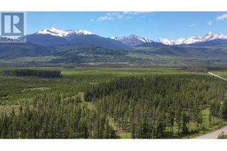 Commercial Land for Sale, 5702 Crooked Creek Road #DL, Valemount, BC