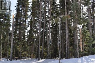 Land for Sale, Lot-9 Alpine Way #PST, Smithers, BC