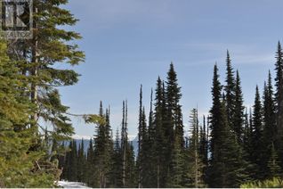 Commercial Land for Sale, Lot-7 Alpine Way #PST, Smithers, BC