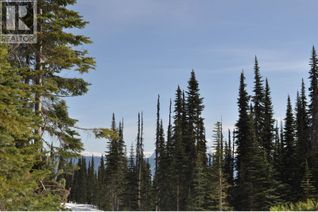 Commercial Land for Sale, St Lt 7 Alpine Way #PT., Smithers, BC