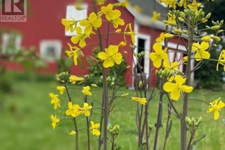 Commercial Farm for Sale, 5211 Brooklyn Street, Grafton, NS