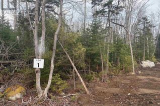 Commercial Land for Sale, Lot 1 Larry Seldon Lane, Western Head, NS