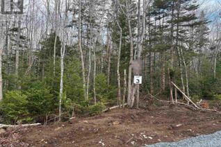 Land for Sale, Lot 3 Larry Seldon Lane, Western Head, NS